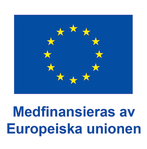 Europeiska unionen ikon